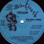 Скачать The Real Thing (Sun Version) - Cantalupe