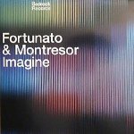 Fortunato & montresor - Imagine (Estroe Remix)