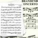 Скачать Brandenburg Concerto No. 6 In B-Flat Major, BWV I. Allegro - Karel Brazda & Philharmonia Slavonica