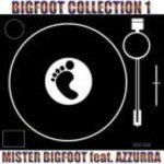 Crush (Radio Edit) - Mister Bigfoot feat. Azzurra