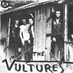 You're Not Scared - The Vultures