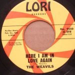 We're The Weavils - The Weavils