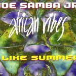 I Like Summer (Radio Edit) - joe samba jr.